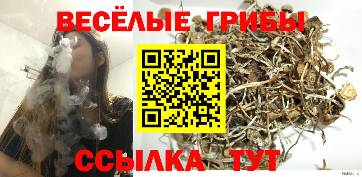 Коммунар  Псилоцибиновые грибы Psilocybine cubensis  Псилоцибиновые грибы Psilocybine cubensis  Вход с VPN 