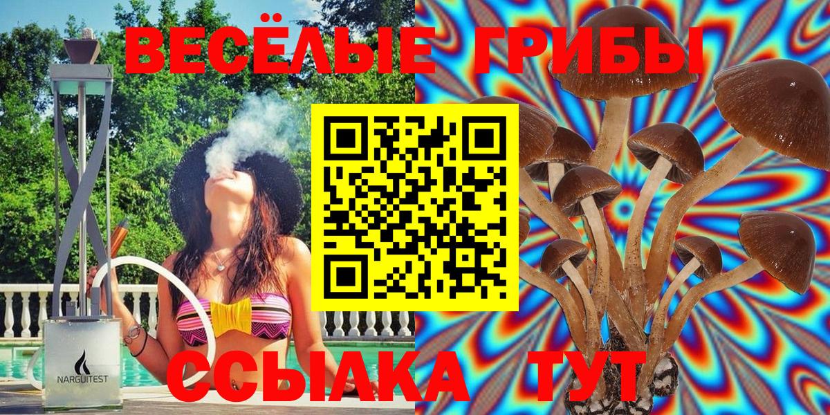 Галлюциногенные грибы Psilocybe Коммунар